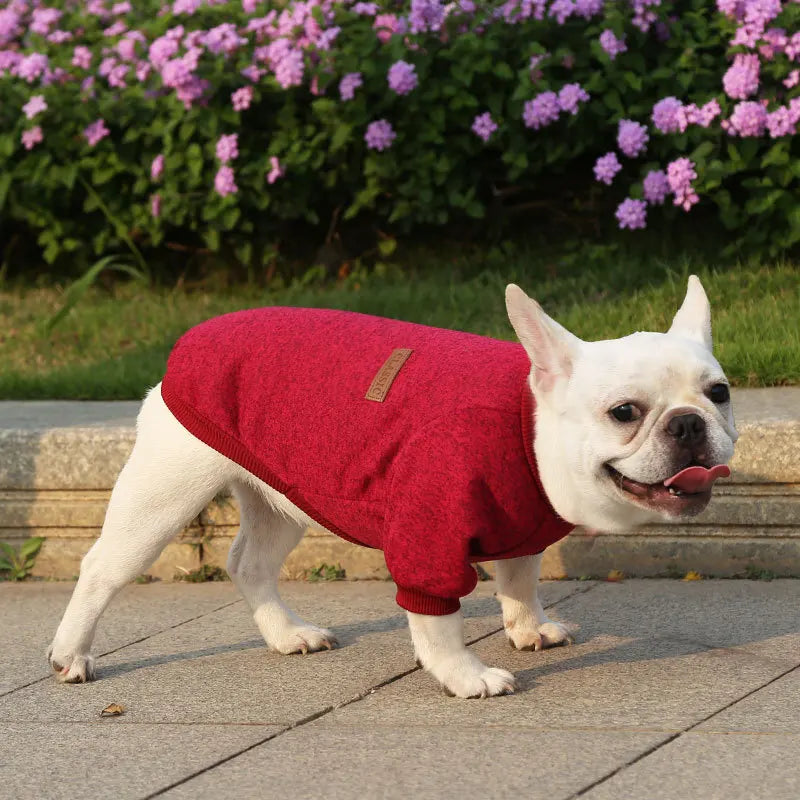 Dog Warm Sweatshirt Spring Autumn Winter