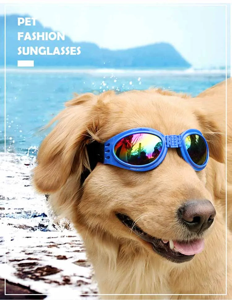 6 Colors Fold Pet Dogs Glasses Prevent UV