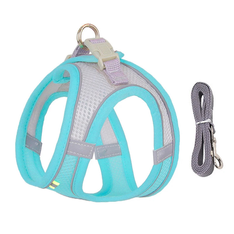 Dog Harness Leash Set for Small Dogs