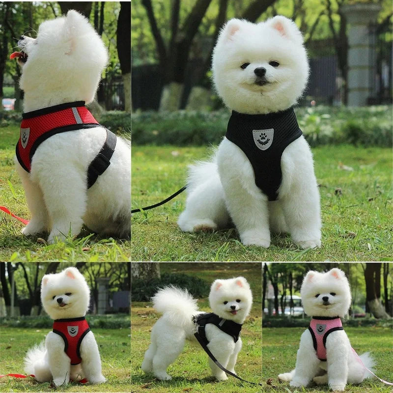 Breathable Mesh Cat Small Dog Harness