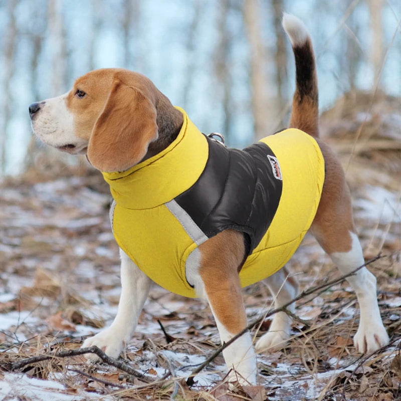 Waterproof Dog Jacket Winter