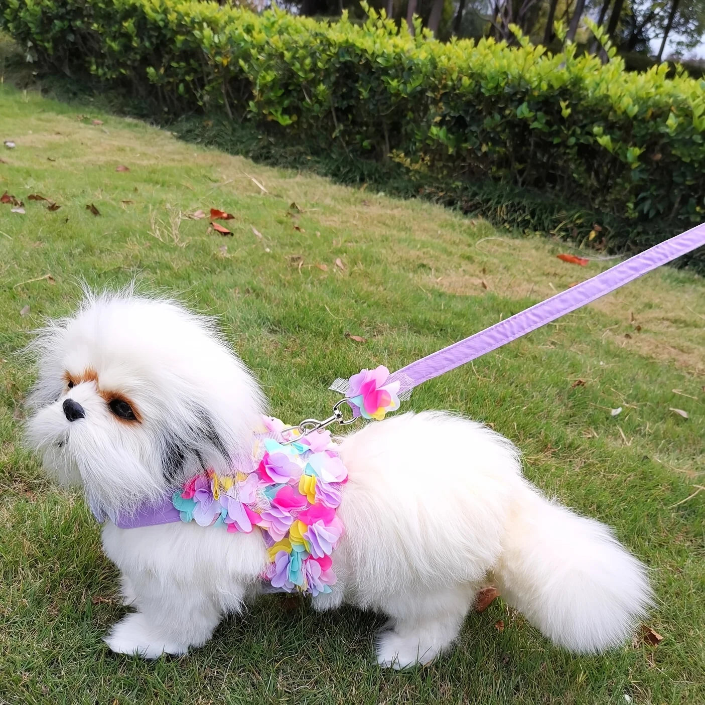 Pets Harness Leash Flower Decoration