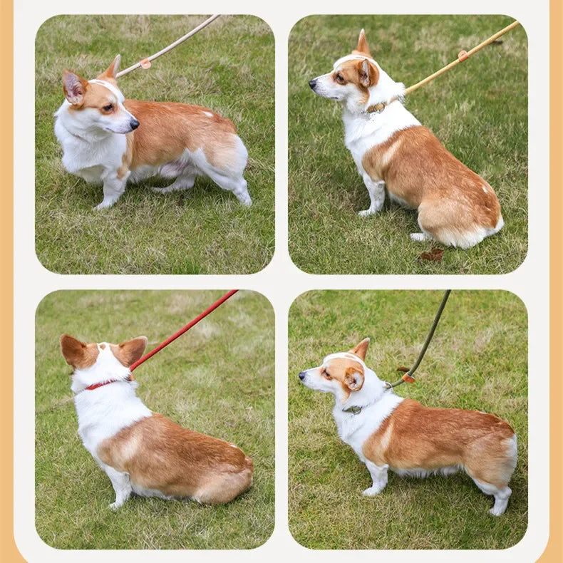 Dog Walking Leash Slip Rope