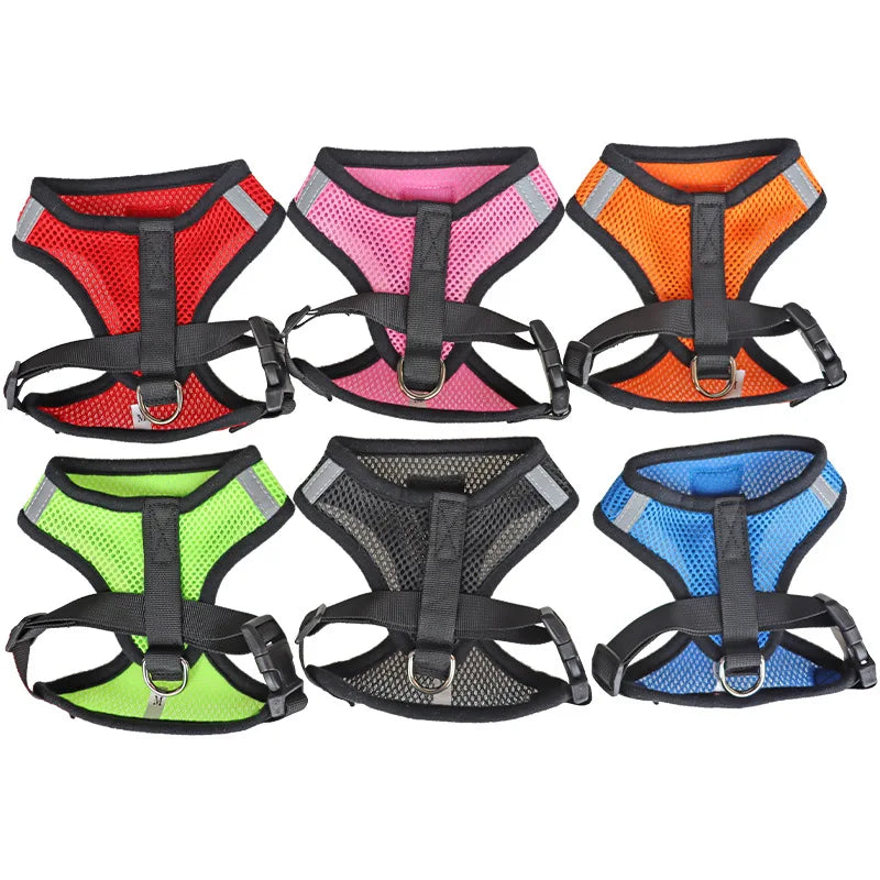 Cat Dog Harness with Lead