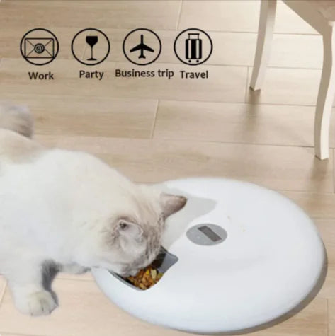 Automatic Pet Feeder for Cats & Dogs