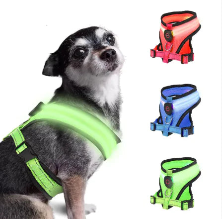 GlowPaws LED Dog Harness