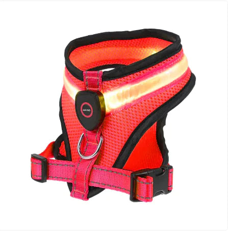 GlowPaws LED Dog Harness